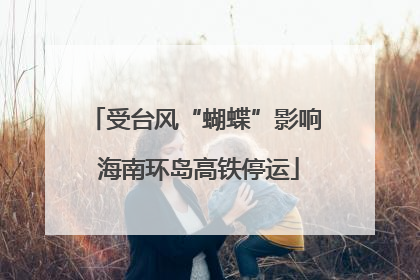受台风“蝴蝶”影响 海南环岛高铁停运