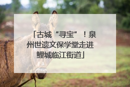 古城“寻宝”！泉州世遗文保学堂走进鲤城临江街道