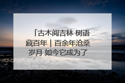 古木阅吉林 树语藏百年｜百余年沧桑岁月 如今它成为了“镇园之宝”