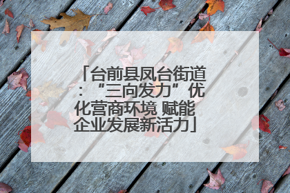台前县凤台街道：“三向发力”优化营商环境 赋能企业发展新活力