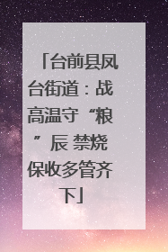 台前县凤台街道：战高温守“粮”辰 禁烧保收多管齐下