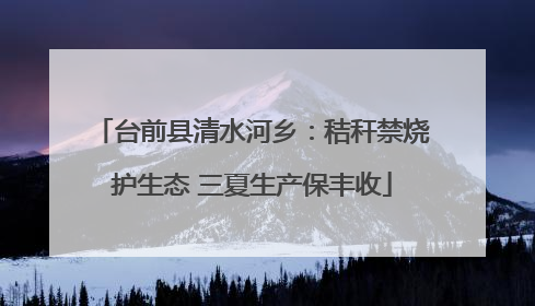 台前县清水河乡：秸秆禁烧护生态 三夏生产保丰收