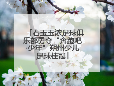 右玉玉浓足球俱乐部勇夺“奔跑吧·少年”朔州少儿足球桂冠
