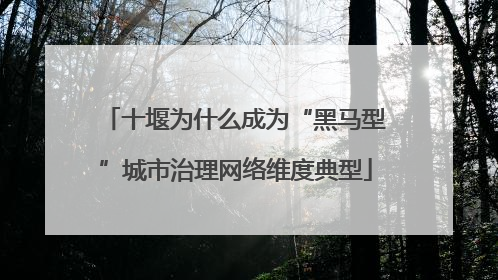 十堰为什么成为“黑马型”城市治理网络维度典型