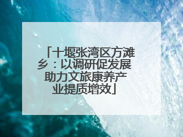 十堰张湾区方滩乡：以调研促发展 助力文旅康养产业提质增效
