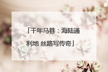 千年马巷：海陆通利地 丝路写传奇