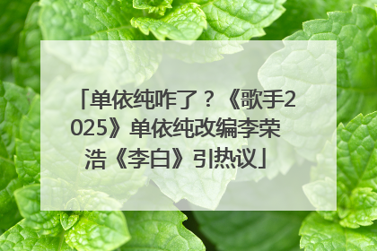单依纯咋了？《歌手2025》单依纯改编李荣浩《李白》引热议