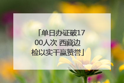 单日办证破1700人次 西藏边检以实干赢赞誉