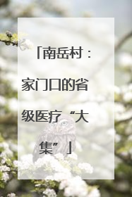 南岳村：家门口的省级医疗“大集”