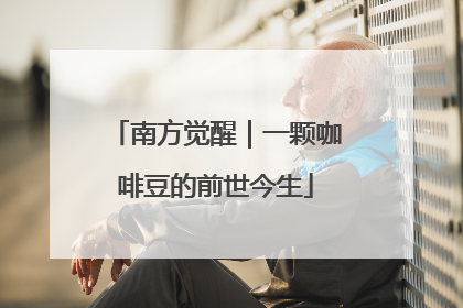 南方觉醒｜一颗咖啡豆的前世今生
