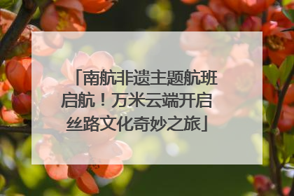 南航非遗主题航班启航！万米云端开启丝路文化奇妙之旅