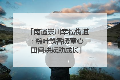 南通崇川幸福街道：粽叶飘香暖童心 田间耕耘助成长
