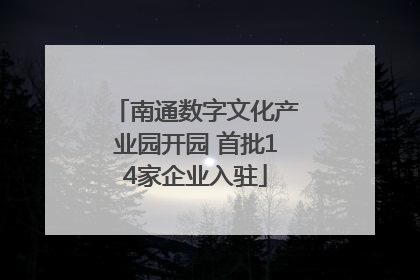 南通数字文化产业园开园 首批14家企业入驻