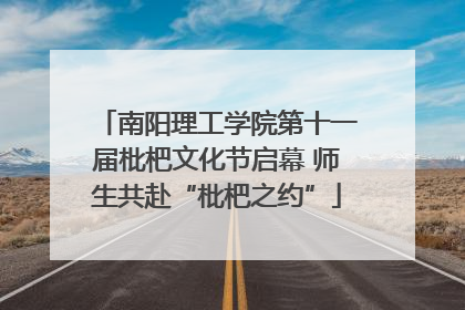 南阳理工学院第十一届枇杷文化节启幕 师生共赴“枇杷之约”