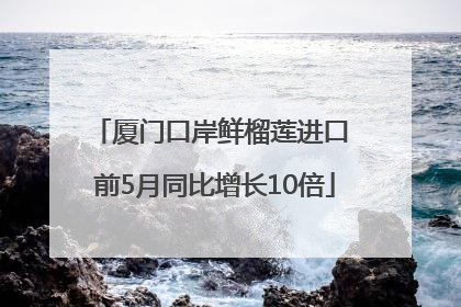 厦门口岸鲜榴莲进口 前5月同比增长10倍