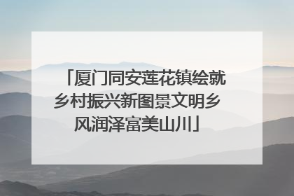 厦门同安莲花镇绘就乡村振兴新图景文明乡风润泽富美山川