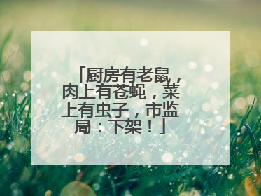 厨房有老鼠，肉上有苍蝇，菜上有虫子，市监局：下架！