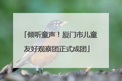 倾听童声！厦门市儿童友好观察团正式成团