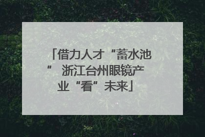 借力人才“蓄水池” 浙江台州眼镜产业“看”未来
