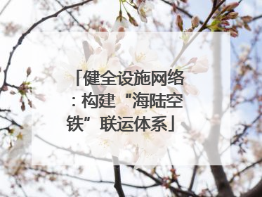 健全设施网络：构建“海陆空铁”联运体系