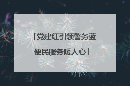 党建红引领警务蓝 便民服务暖人心