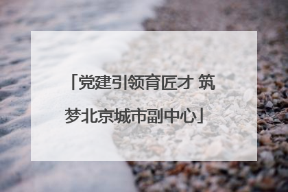 党建引领育匠才 筑梦北京城市副中心