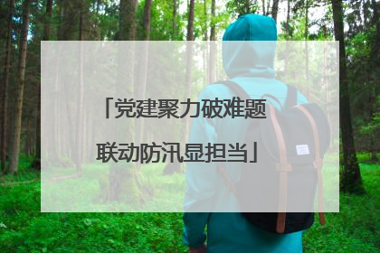 党建聚力破难题 联动防汛显担当