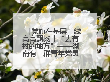 党旗在基层一线高高飘扬丨“去有村的地方”——湖南有一群青年党员这样选择