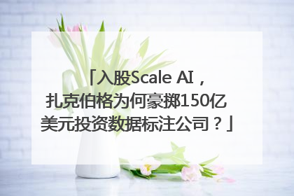 入股Scale AI，扎克伯格为何豪掷150亿美元投资数据标注公司？