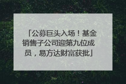 公募巨头入场！基金销售子公司迎第九位成员，易方达财富获批