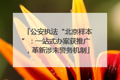公安执法“北京样本”：一站式办案获推广，革新涉未警务机制