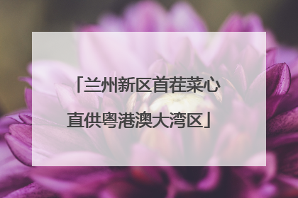 兰州新区首茬菜心直供粤港澳大湾区