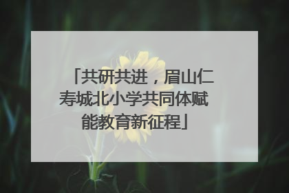 共研共进，眉山仁寿城北小学共同体赋能教育新征程