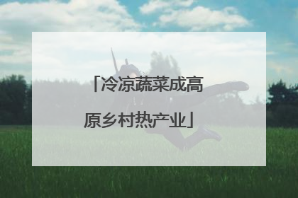 冷凉蔬菜成高原乡村热产业