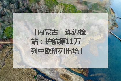 内蒙古二连边检站：护航第11万列中欧班列出境