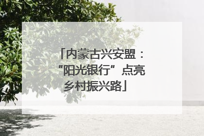 内蒙古兴安盟：“阳光银行”点亮乡村振兴路