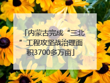 内蒙古完成“三北”工程攻坚战治理面积3700多万亩