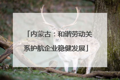 内蒙古：和谐劳动关系护航企业稳健发展