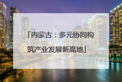 内蒙古：多元协同构筑产业发展新高地
