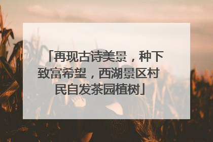 再现古诗美景，种下致富希望，西湖景区村民自发茶园植树