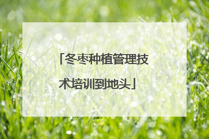 冬枣种植管理技术培训到地头