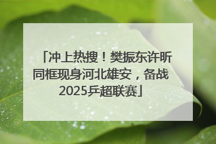 冲上热搜！樊振东许昕同框现身河北雄安，备战2025乒超联赛