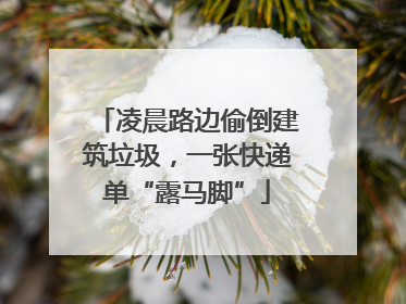 凌晨路边偷倒建筑垃圾，一张快递单“露马脚”