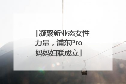 凝聚新业态女性力量，浦东Pro妈妈妇联成立