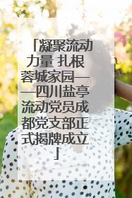 凝聚流动力量 扎根蓉城家园——四川盐亭流动党员成都党支部正式揭牌成立