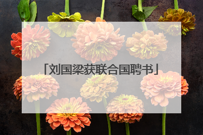 刘国梁获联合国聘书