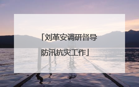 刘革安调研督导防汛抗灾工作
