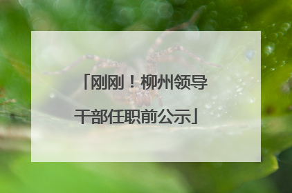 刚刚！柳州领导干部任职前公示
