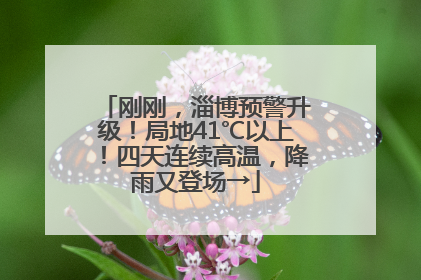 刚刚，淄博预警升级！局地41℃以上！四天连续高温，降雨又登场→
