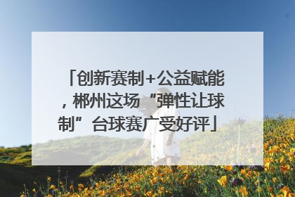 创新赛制+公益赋能，郴州这场“弹性让球制”台球赛广受好评